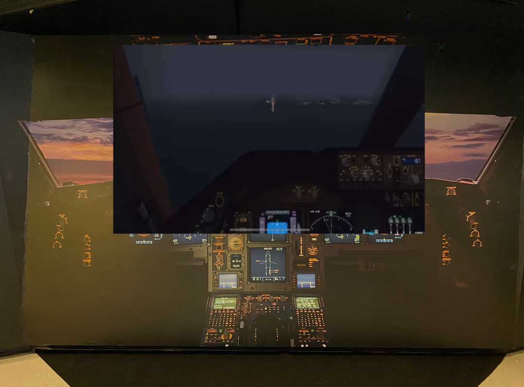 Immersed Flight Simulation